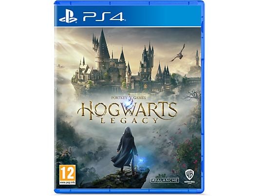 PS4 Hogwarts Legacy